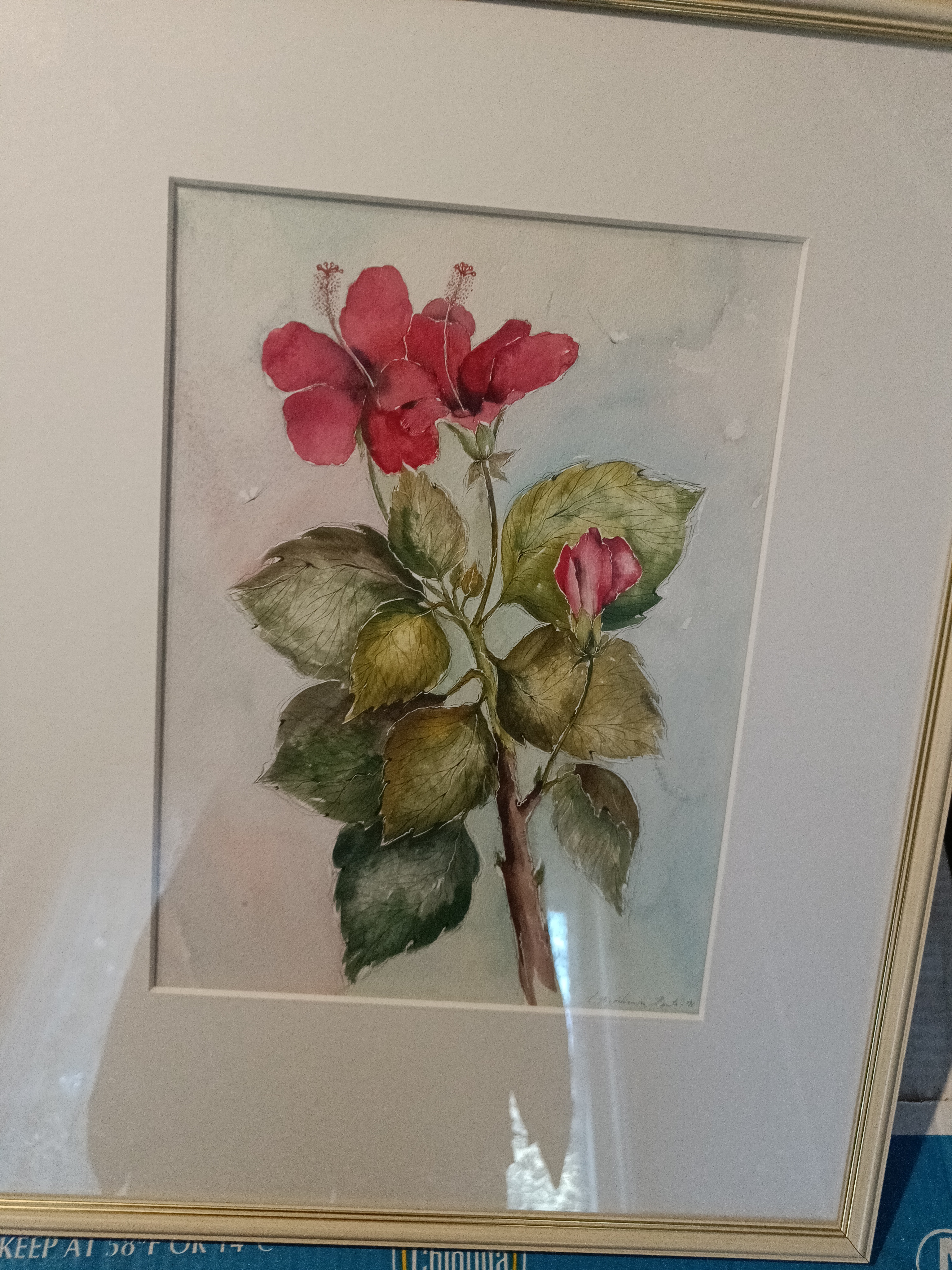 BJÖRKMAN-RANTA SOLVEIG. kukkia.