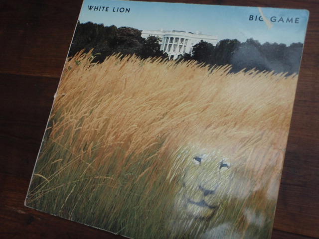 WHITE LION. big game.