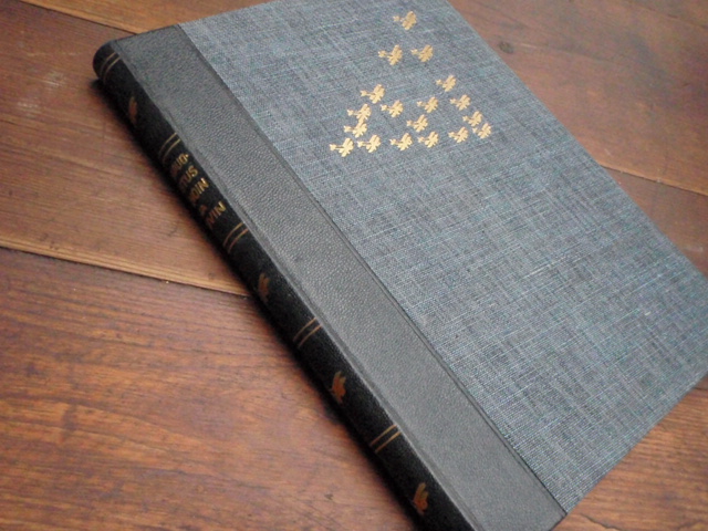 ILMAPUOLUSTUS SANOIN ja KUVIN.1P.