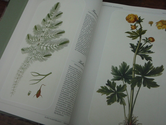 FLORA. suomen suurkasvio 1-2+laatikko.(nahkaselys) 1