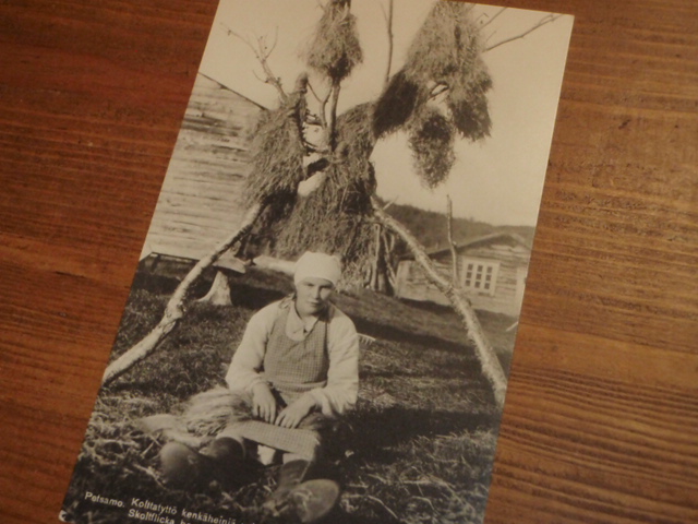 PETSAMO.kolttatyttö kenkäheiniä valmistamassa. 78.