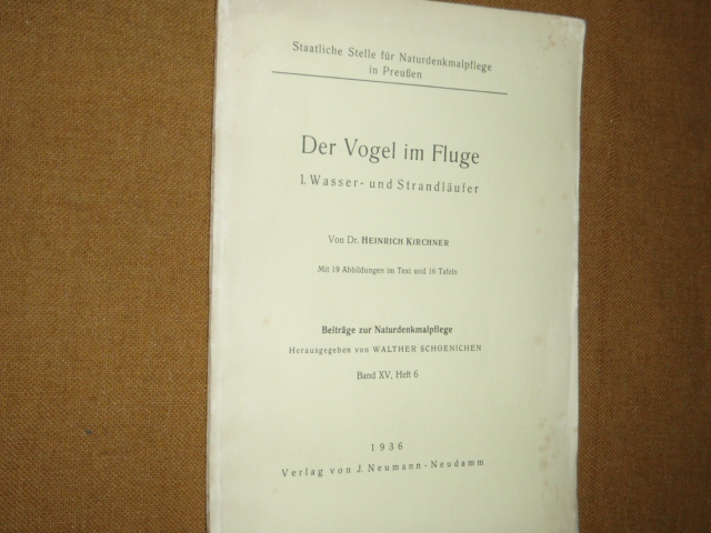 der vogel im fluge