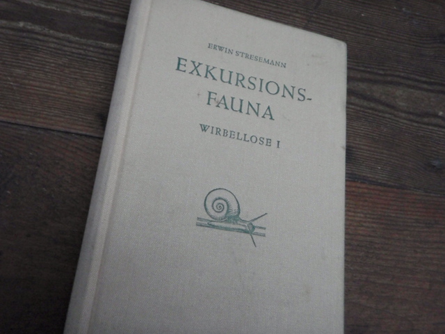 stresemann erwin. EXKURSIONSFAUNA WIRBELLOSE I.
