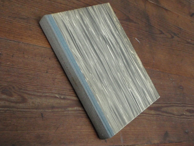 karhunen joppe. RITARILENTUE hävittäjälaivue 24:n 3.lentueen vai