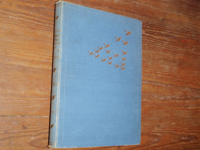 ILMAPUOLUSTUS SANOIN JA KUVIN 1p..