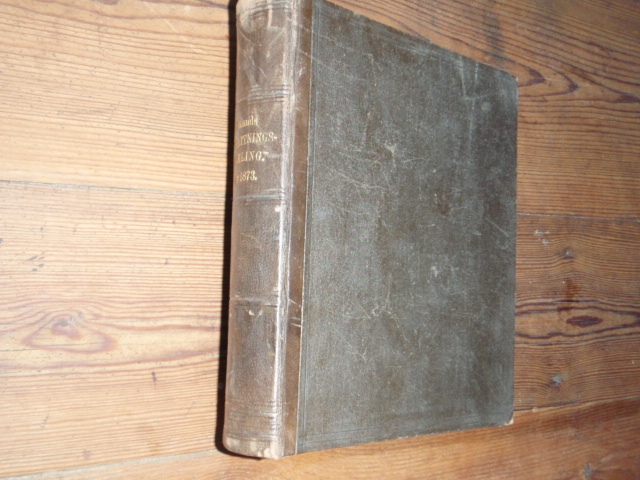 STORFURSTENDÖMET FINLANDS författnings-samling 1873