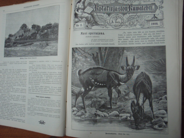 KYLÄKIRJASTON KUVALEHTI 1900-1904(sid,yhteen)