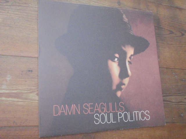 DAMN SEAGULLS. soul politics.