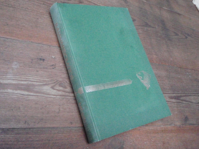 RAJAVARTIOLAITOS 1919-1969. 1P.