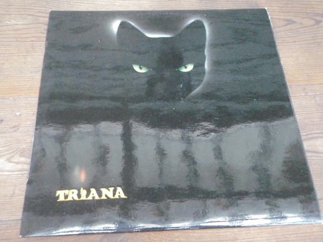 TRIANA. un encuentro.