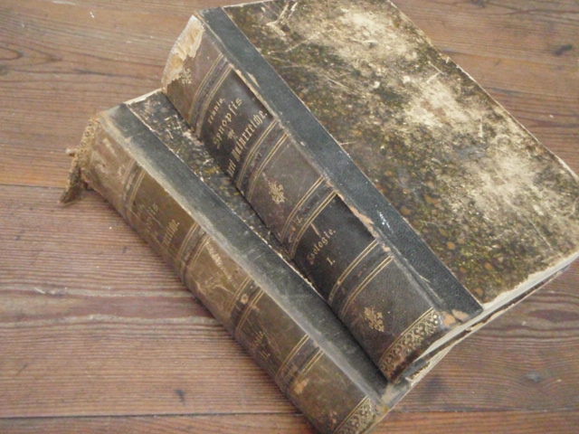 lennis johannes.SYNOPSIS der DREI NATURREICHE. 1-2 . v,1886.