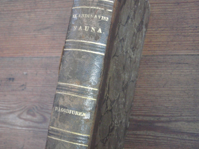 nilsson j.SKANDINAVISK FAUNA. v,1847.