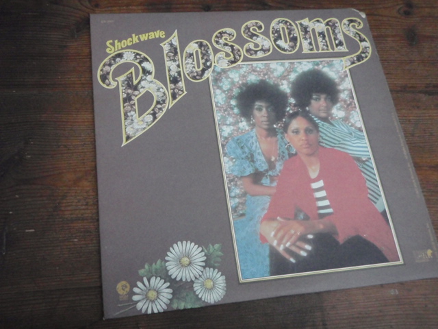 BLOSSOMS. shock wave.