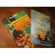 wang-fassbind. the complete manual to VEGETABLE&FRUIT CARVING-