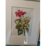 BJÖRKMAN-RANTA SOLVEIG. kukkia.