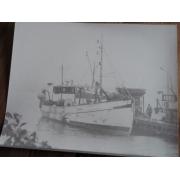 TROOLARI valokuva 24x30cm.