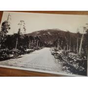 PETSAMO. kaskamotunturi,petsamon maantie. 89.