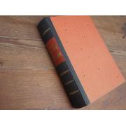 bullock alan. HITLER tyrannin nousu ja kukistuminen.