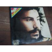 STEVENS CAT.the view from the top. tupla-lp.