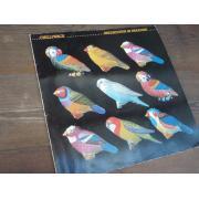 CHILLIWACK.breakdown in paradise.