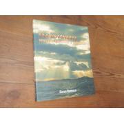 metsävuori eka.SAARISTOMERTA salaliittoja kähmintää ja seikkailu