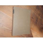 strengell gustaf.KAUPUNKI TAIDELUOMANA silmäys historialliseen-