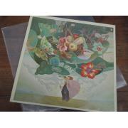 RETURN TO FOREVER. musicmagic.
