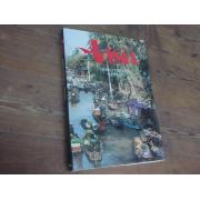 herkuttelijan keittiö. AASIA. 1p.