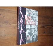 sarjanen petri, TERÄSNYRKKI