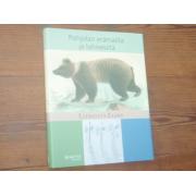 lloyd llewellyn.POHJOLAN ERÄMAILTA ja LOHIVESILTÄ.