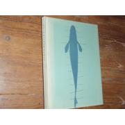 vainio v.h/stochl. KALAMIEHEN VUOSI.