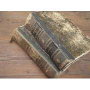 lennis johannes.SYNOPSIS der DREI NATURREICHE. 1-2 . v,1886.